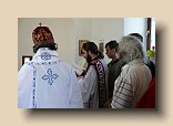 P1100648 (Medium)